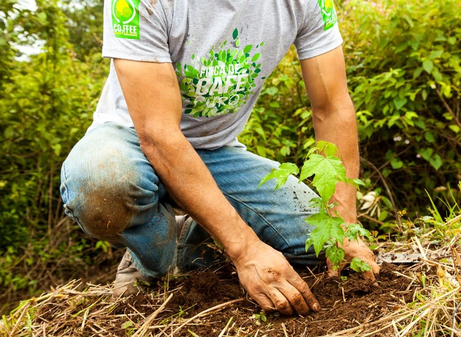 Coffee environment gallery image
