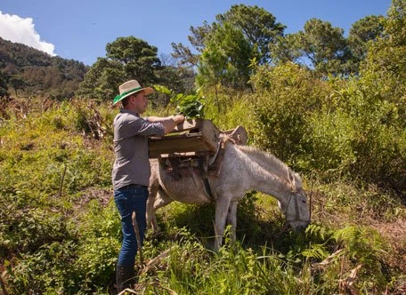 Coffee environment gallery image